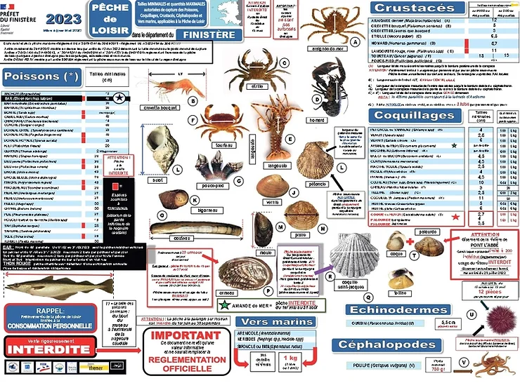 carte regle pêche à pied